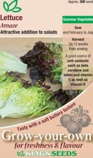 Kings Seeds - Vegetable - Lettuce Amaze