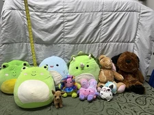 Squishmallows (PRICE INCLUDES YOUR CHOICE OF 2)
