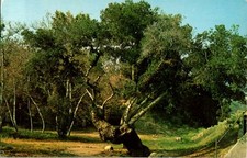 Between Newhall And Saugus California CA : NATURE SCENE m/12 BD4898