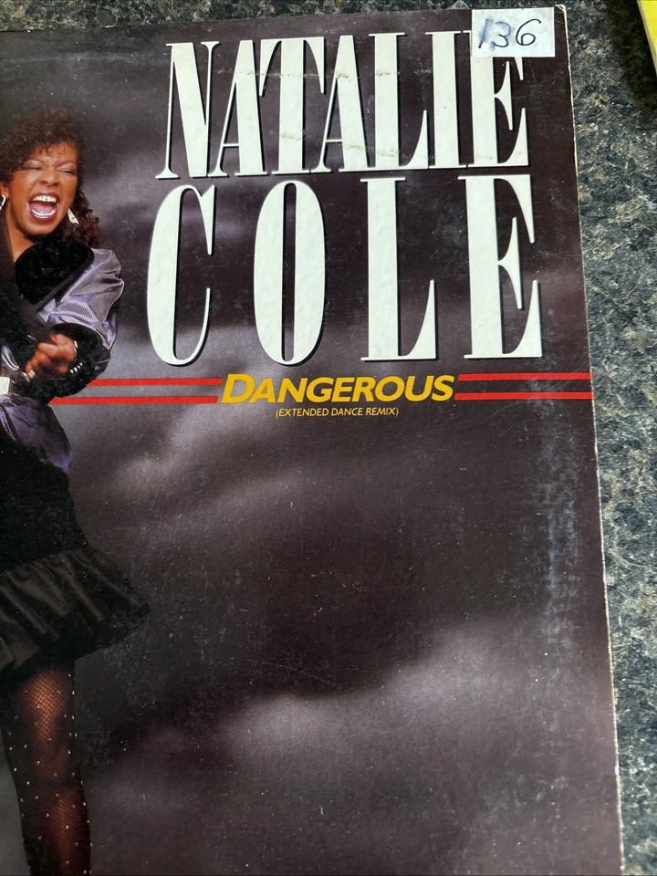 8/12in. Dance Singles Lot 1 t.a.t.u , Tanya Blount, Snap,Jennifer Holiday & More - Image 3 of 4