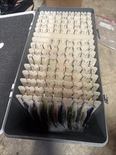 Lot of 110 Walleye Trolling Crankbaits Bandits Custom Painted P10s and Others