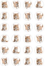 24x PRECUT GINGER CAT/KITTEN RICE/WAFER PAPER CUP CAKE TOPPERS