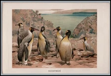 Antique 1890s Chromolithograph RIESENPINGUIN by W Kuhnert 9 7/8 x 6.5