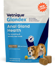 Vetnique Glandex Anal Gland Soft Chew Treats with Pumpkin for Dogs Digestive Enz