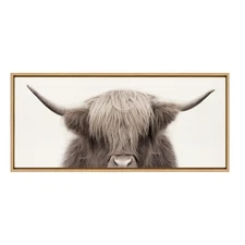 Sylvie Hey Dude Highland Cow Color Framed Linen Textured Canvas Wall Art by T...