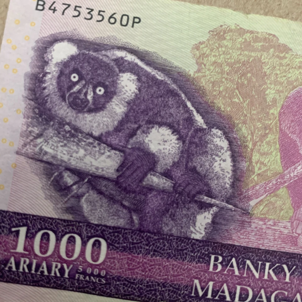 Lemur Note Madagascar 1000 Ariary Banknote 2004 Animal Currency & Purple Turtle - Image 4 of 4