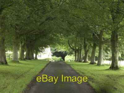 Photo 6x4 Ashmore Lodge Bridleway Well Bottom View down the tree lined br c2007