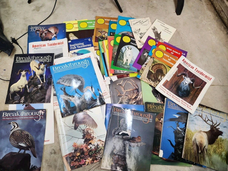 Taxidermy Mixed Lot Of 47 Items Breakthrough Magazines Wide World Of Taxidermy - Image 2 of 4