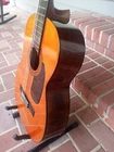 Picture 7 of 22