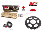 Kawasaki Z1000 SX Gold Japanese EK  X-Ring Chain and JT Black Sprocket Set