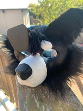 border collie foam clay mask Furred and painted details lined Elastic