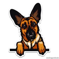Belgian Malinois Dog, Vinyl Decal Sticker, Indoor Outdoor, 3 Sizes, 12109