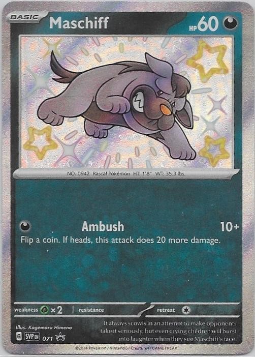 Maschiff 071 Holo Promo Scarlet & Violet Promo Pokemon Near Mint