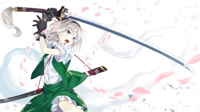 Anime Art 2D Portrait Touhou Konpaku 11x17 Poster