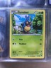 9 Years Old Pokemon Cards - Phantom Forces (2014)