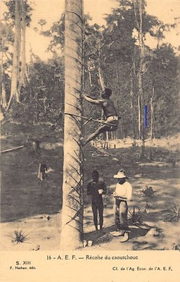 French Equatorial Africa - Rubber Harvesting - Publ. Economic Agency of French E