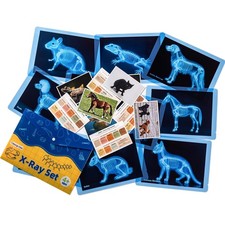 Pet Series Animal Xrays for Kids - Pet X-Rays Set, Light Table Manipulatives,...