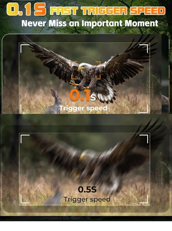 Fototrappola 4K 60MP, - Immagine 4 di 4