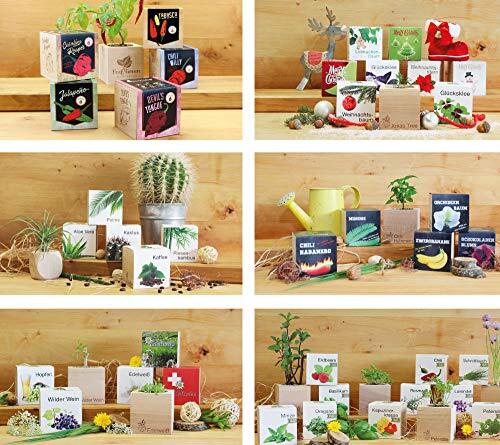 Feel Green Ecocube Orchideenbaum Blüht Wie Eine Orchidee Nachhaltige Geschenk... - Bild 10 von 10