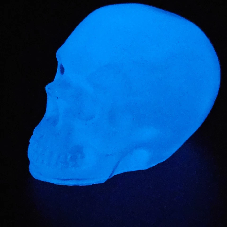 Collectable Super Bright Glow In The Dark Skull Custom One Of A Kind - Image 4 of 4
