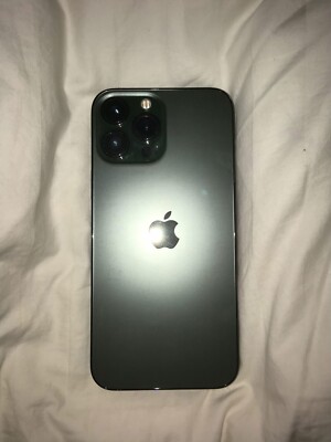 iPhone 13 Pro Max With TikTok 