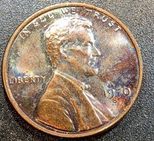  on The Hot Collector