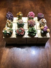 Harmony Kingdom Lord Byron's Garden Lot of 12 Marsh Marigold Gardenia Rose Bud +