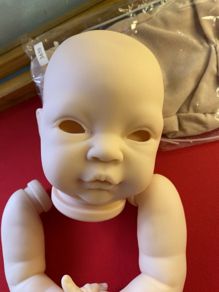 Denise Olive Reborn 婴儿娃娃套件 18.5 ~ 已售完 doe 绒面革机身 — 第 4/4 张图片