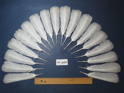 18 Stück weiße Truthahnschwanzfedern, Fliegenbindematerial (Faser 40-50 mm) (W-498)