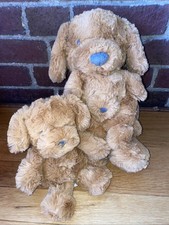 Cloud Island Plush Dog Lovey Stuffed Animal  Baby Puppy Toy Rattle Hug Target