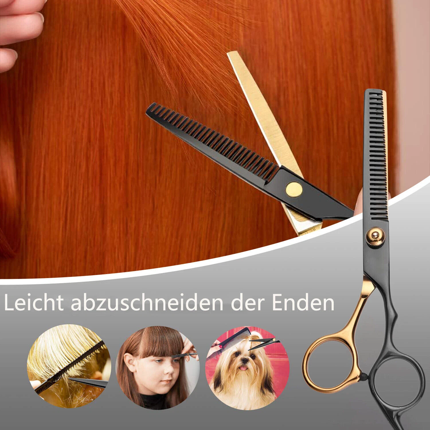 Bild 7 von 10