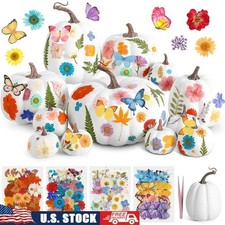 Fall DIY Pumpkin Kit Foam Pumpkins Dried Flowers Craft Decor Butterfly Stickers