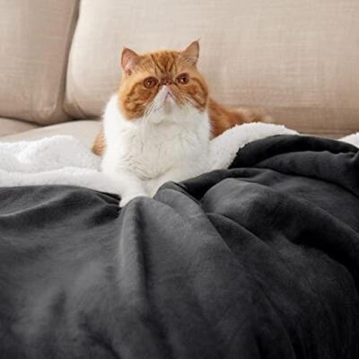 BEDSURE Sherpa Fleece Queen Size Blankets for Bed Thick and Warm