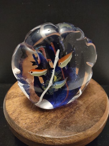 Vintage Unique Murano Style Fish Aquarium Art Blown Glass Paper Weight Beautiful - Picture 5 of 12