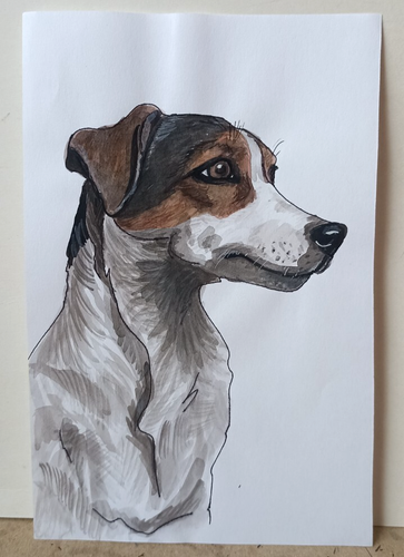 Russel Terrier Dog original Watercolor painting art Portrait 8x5.5'' - Picture 6 of 7