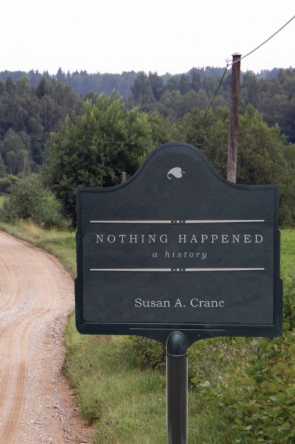Nothing Happened: A History.by Crane New Fast Free Shipping** - Image 2