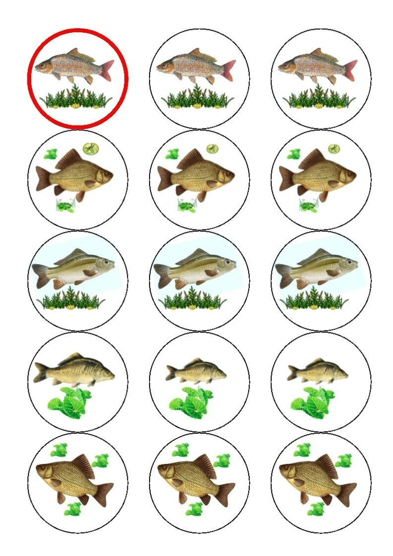 carp fishing fish edible birthday cupcake toppers decoration x 15