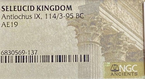 114-95 BC NGC Certified Ancient Greek Seleucid Kingdom Coin Antiochus IX Genuine - Picture 12 of 13