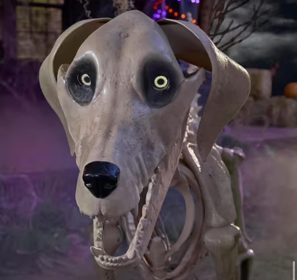 🎃 7 ft. Skeleton Dog Skelly's Home Accent Halloween Home Depot Fast