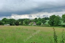Photo 6x4 Over the field to Bett's Folly Crabtree/TQ2225 Number 2 of the c2010