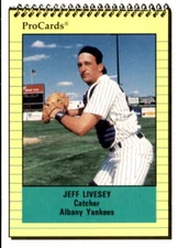 1991 Albany Yankees ProCards 1011 Jeff Livesey Spring Hill Florida Baseball Card