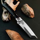 8.9" D2 Tactical Camp Knife Full Tang Resin Handle Fixed Blade Leather Sheath — photo 6