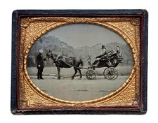 SUPERB 1/4 PLATE AMBROTYPE WILLIAM & ELIZA HENRIETTA RICHARDSON IN HORSE & CART 