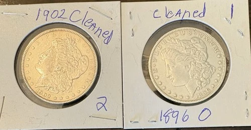 Morgan Silver Dollar - Bullion