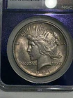 1921 Peace Dollar High Relief NGC MS63