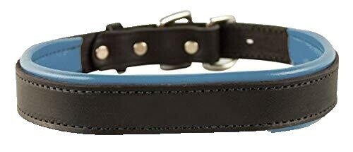 NEW OLD STOCK Coach Baby Blue Pebbled Leather Dog Collar  Coach blue Dog collar with Gold Hardware main image 0