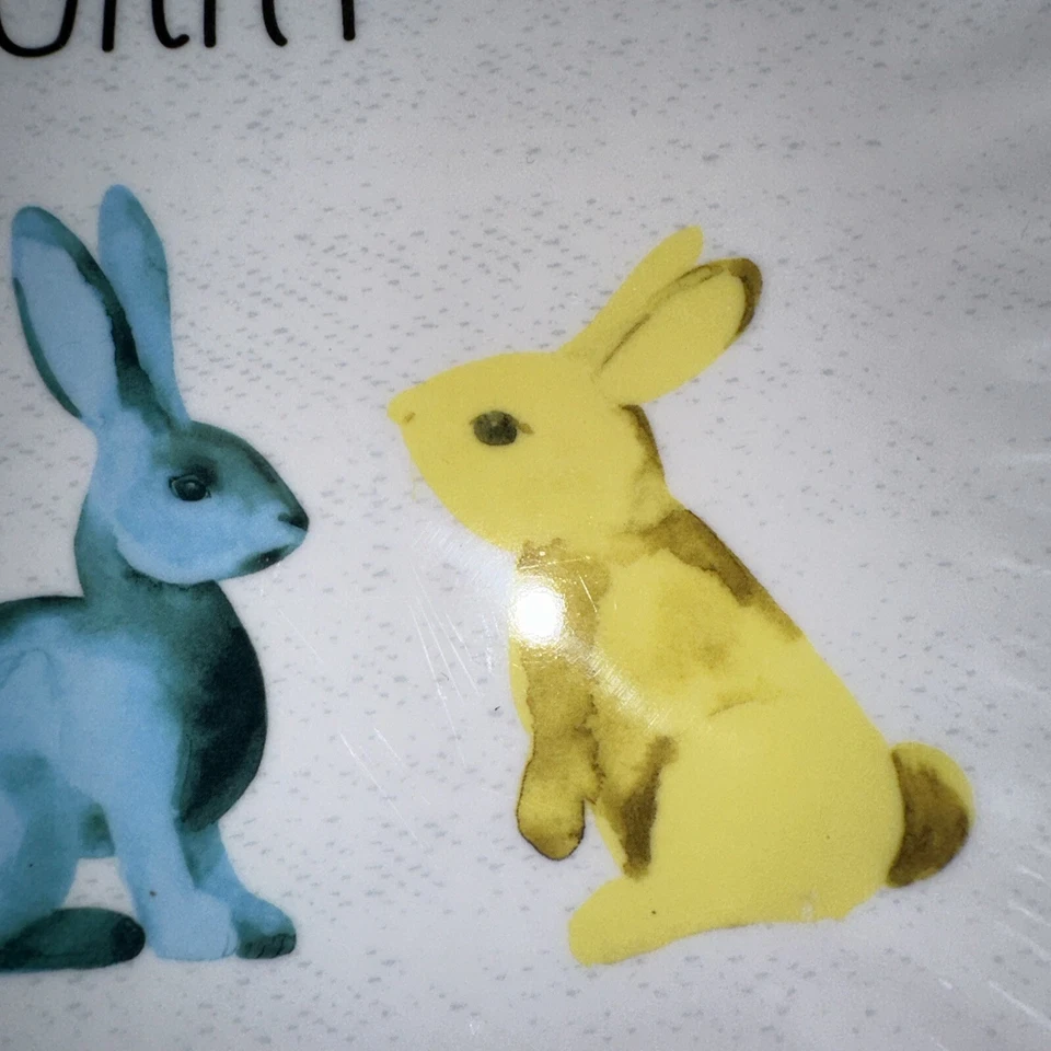 4 platos de ensalada/postre Nicole Miller Hip Hop Horray Bunny Rabbit MELAMINA USADOS EN EXCELENTE ESTADO Foto 4 de 4