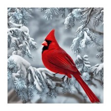 Diamond Painting Kits for Adults, Cardinal 5D DIY Diamond Art Kits