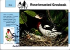 Dr Jim Stamps Maximum Card Rose Breasted Grosbeak Forever Fdc