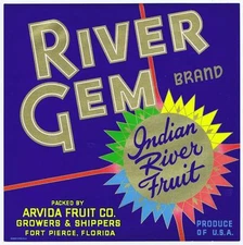 River Gem VTG Fort Pierce Florida orange citrus Crate Label, Arvida Fruit Co 9x9